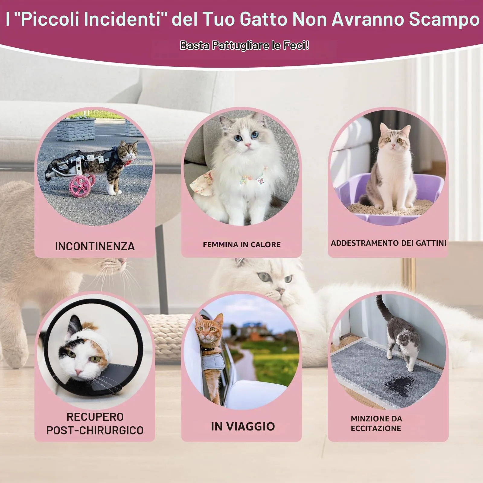 Hisprout, pannolini per gatti riutilizzabili, super assorbenti, lavabili, durevoli, mutande sanitarie con velcro regolabile, 3 pezzi (XS01) - immagine 8