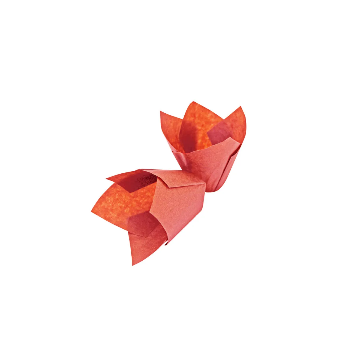 1000x Schneider Stampo per muffin Tulipano rosso; 5x5x5x5.5 cm (LxLxØxH); rosso; 1000 pz. / Pacco - immagine 1