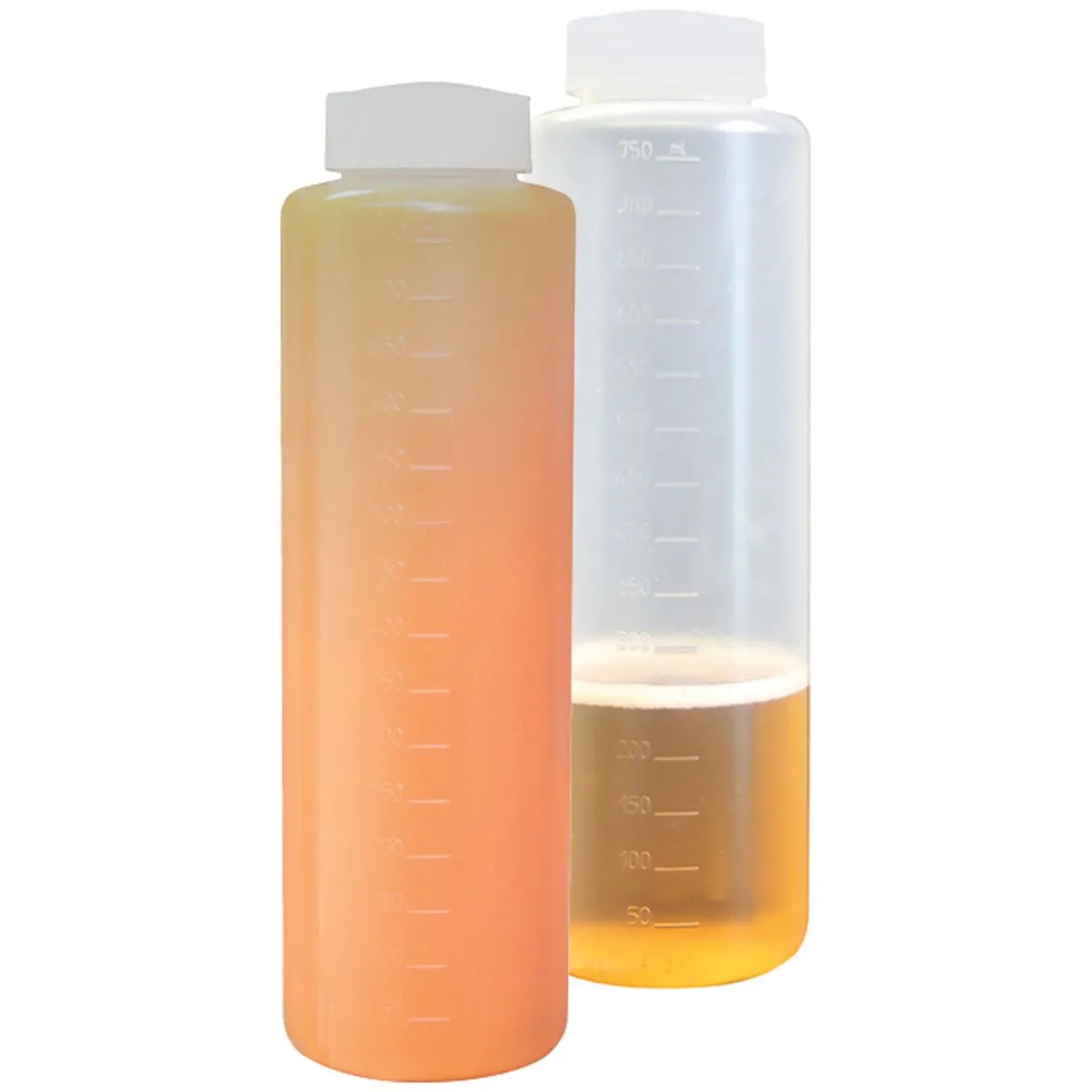 Schneider Flacone spray; 700 ml, 7.2x25 cm (ØxH); trasparente - immagine 1