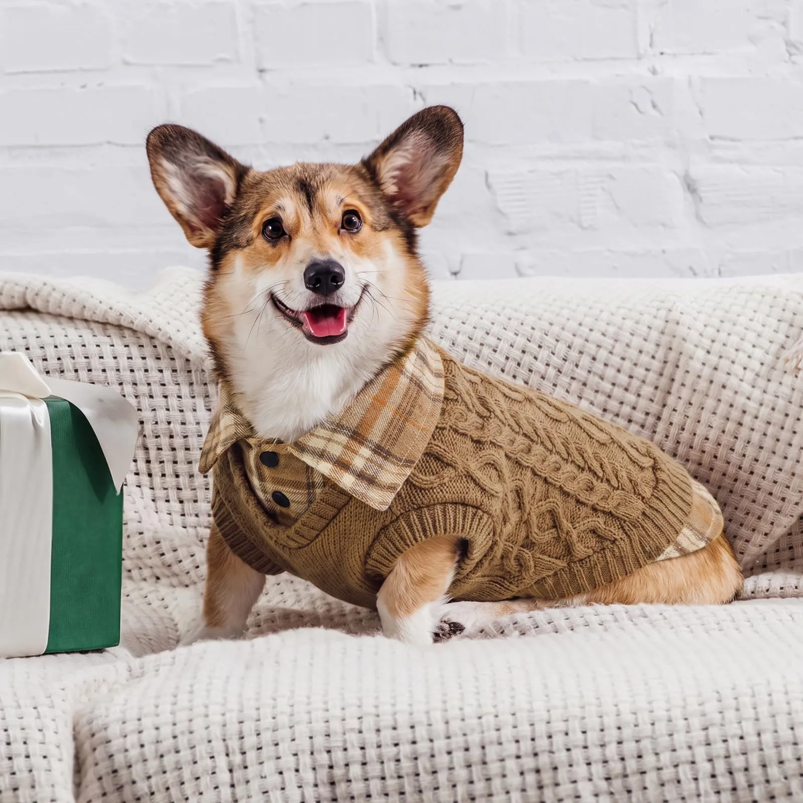 CITÉTOILE Caldo Maglione Invernale per Cani Per Il Freddo Marrone S - immagine 6