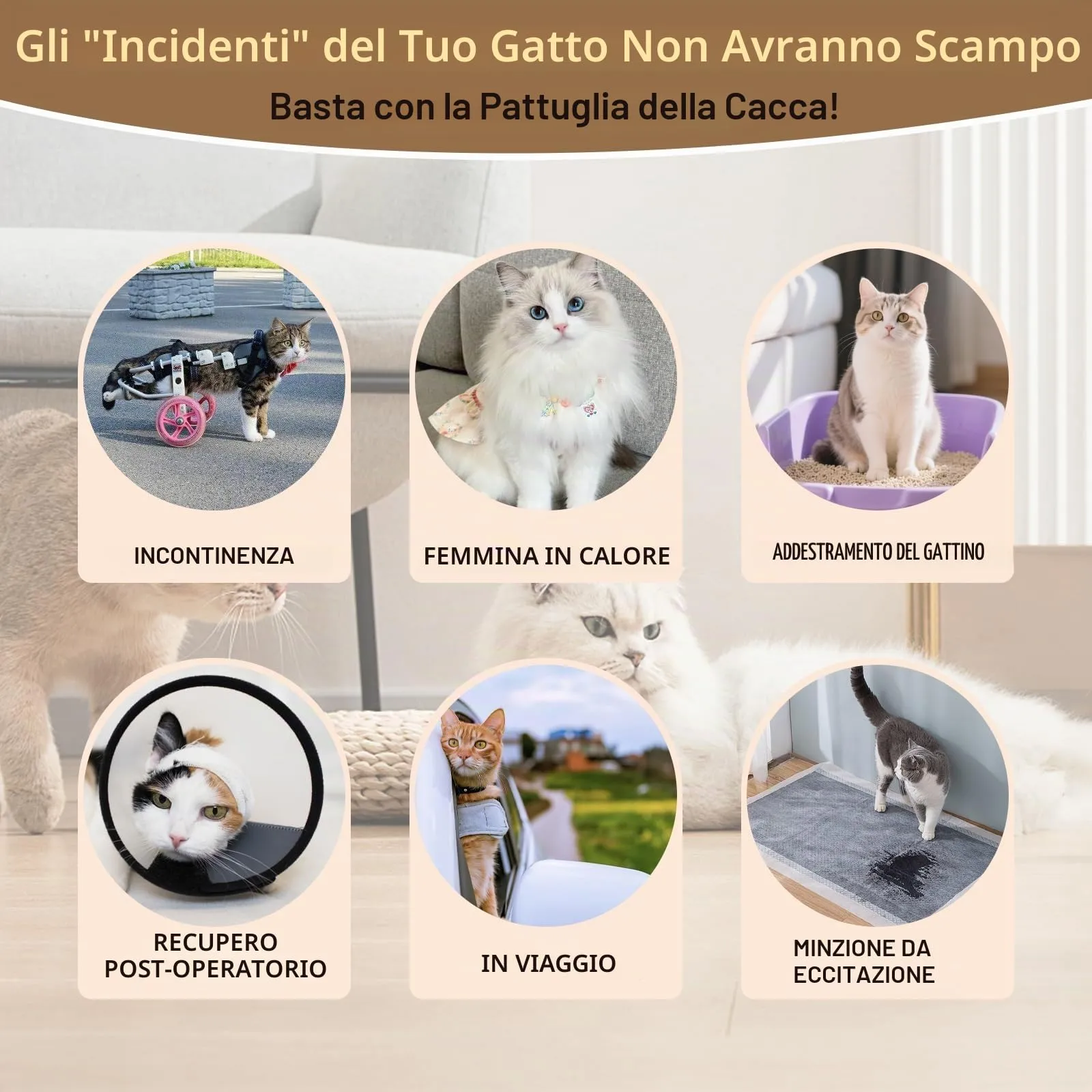 Hisprout, pannolini per gatti riutilizzabili, super assorbenti, lavabili, durevoli, mutande sanitarie con velcro regolabile, 3 pezzi (XS02) - immagine 8