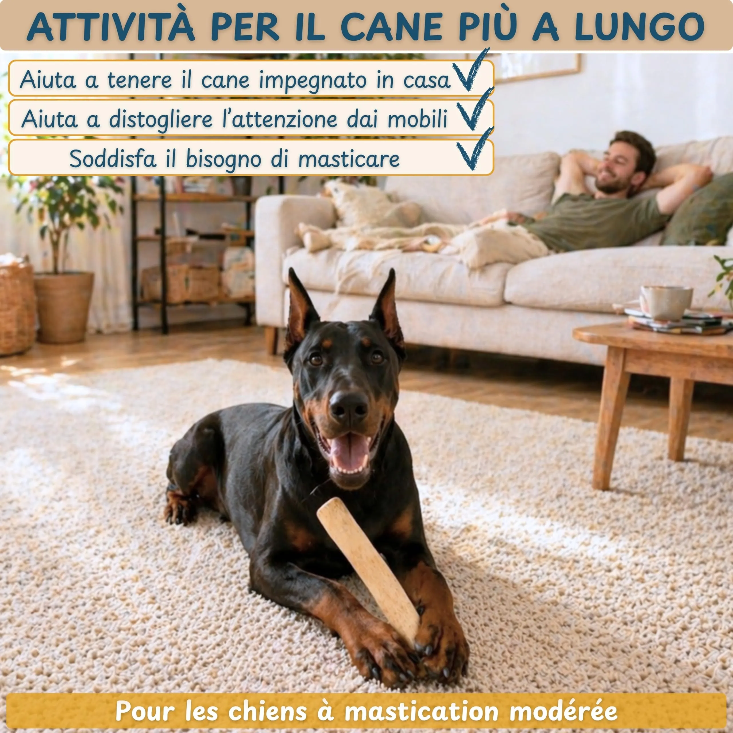 Wildeers Legno di Caffè per Cani, Resistente, Taglia XL, 17-22 cm, 2 Pezzi - immagine 3
