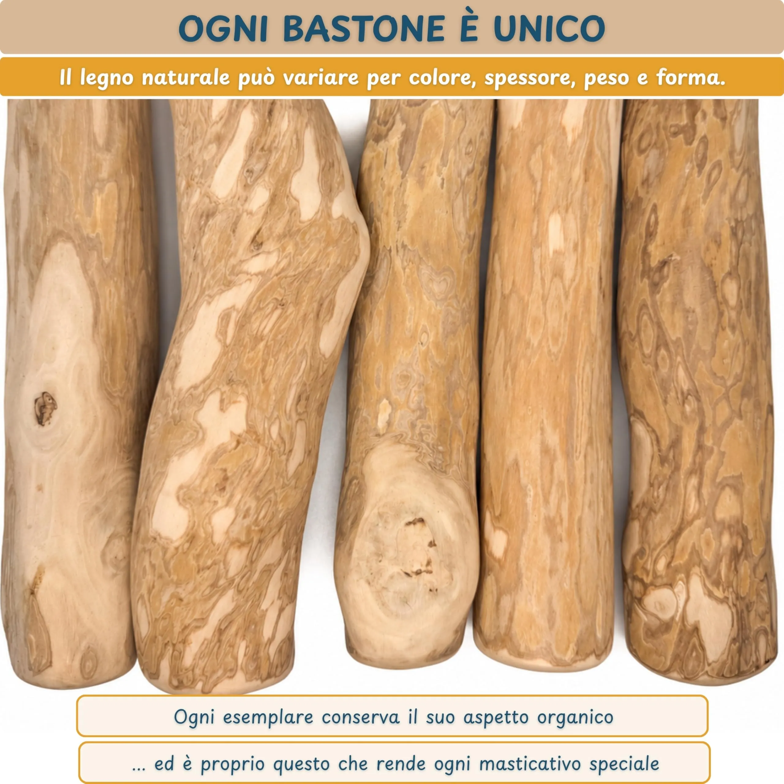 Wildeers Legno di Caffè per Cani, Resistente, Taglia XL, 17-22 cm, 2 Pezzi - immagine 7