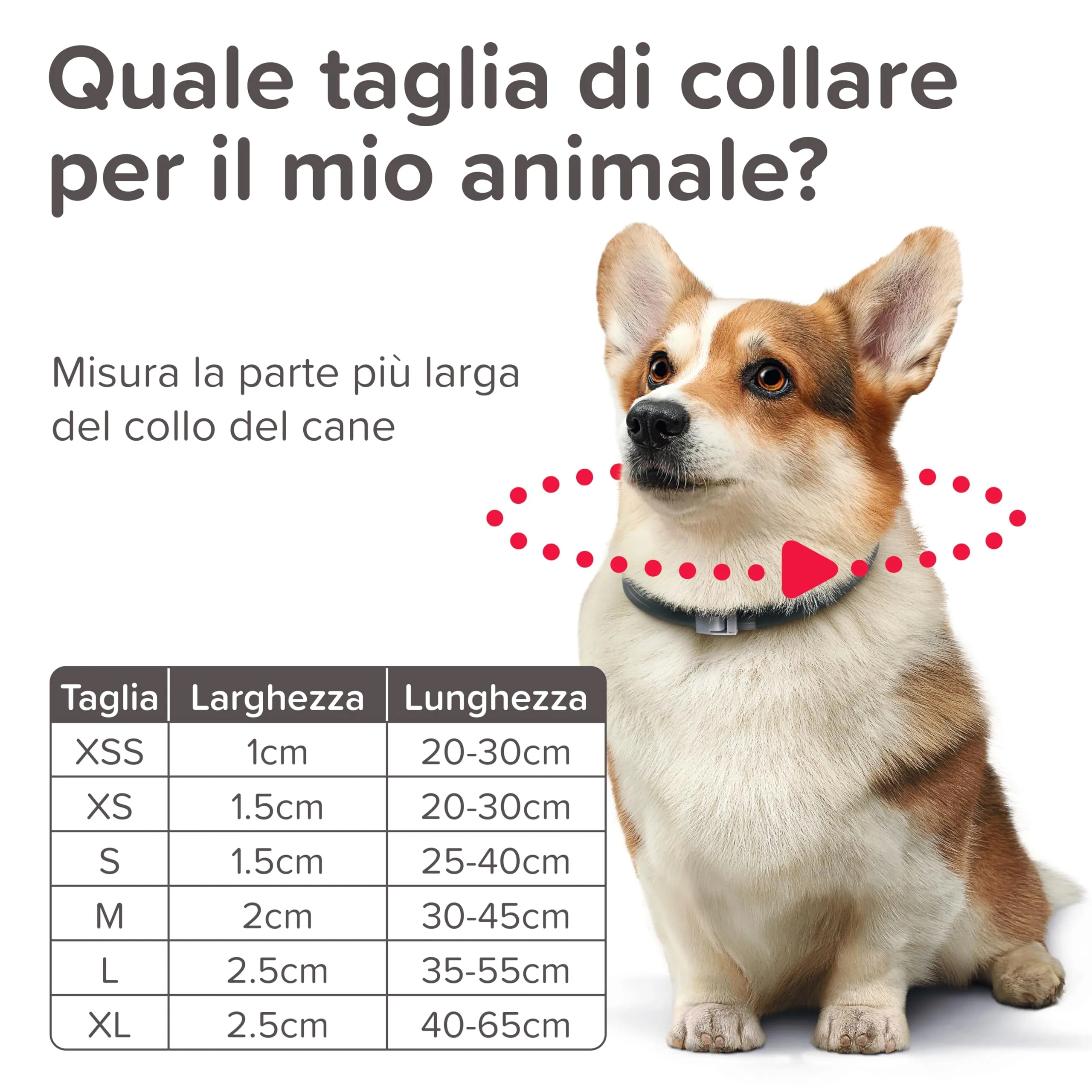 Beaphar Protezione Naturale, Collare Scudo Regolabile per Cane Grande, con Olio di Neem, Fino a 3 Mesi di Protezione, 80 cm (Confezione da 2) - immagine 3