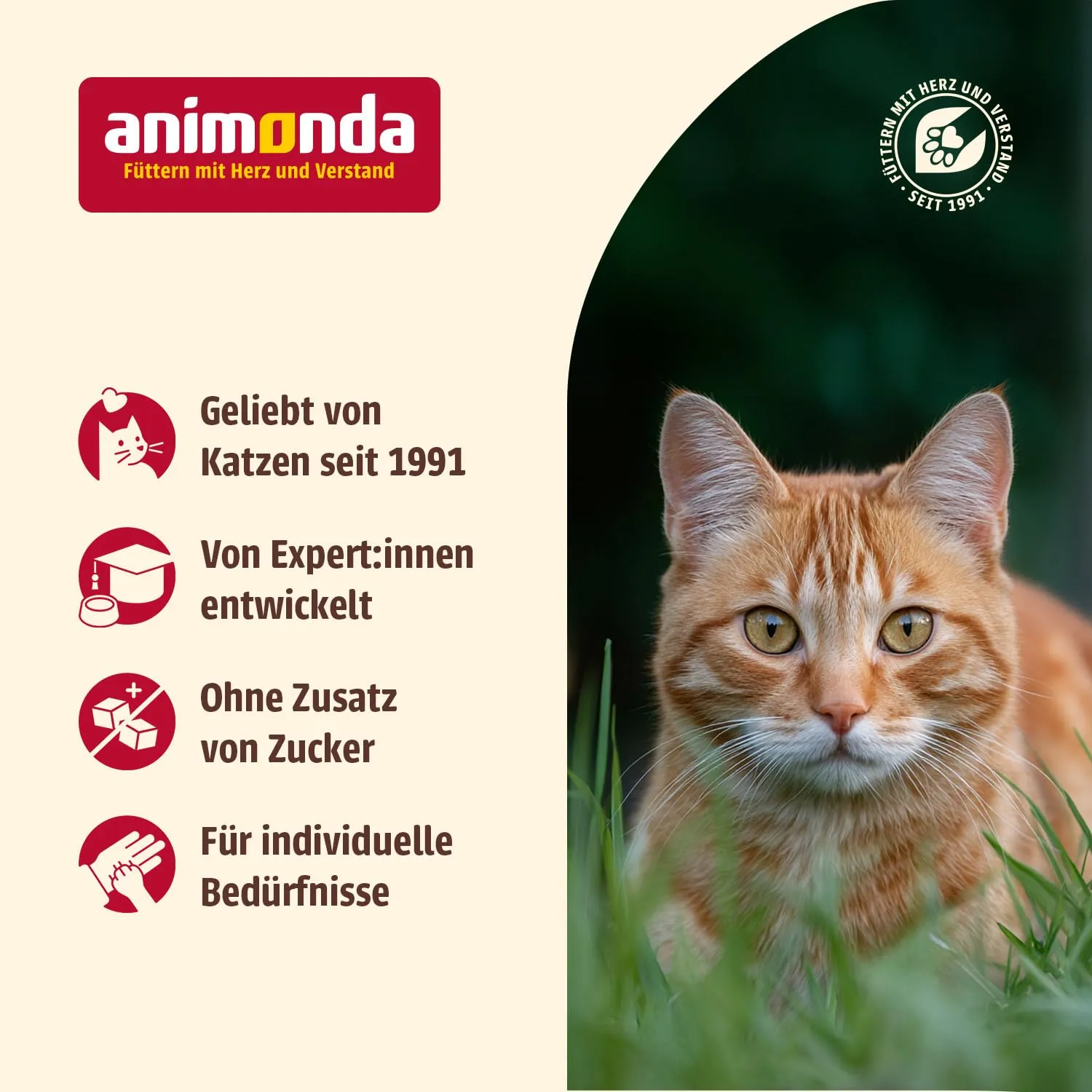 animonda Carny Adult Creamy, cibo umido per gatti, con Salmone + Taurina 6x15 g (Confezione da 5) - immagine 7