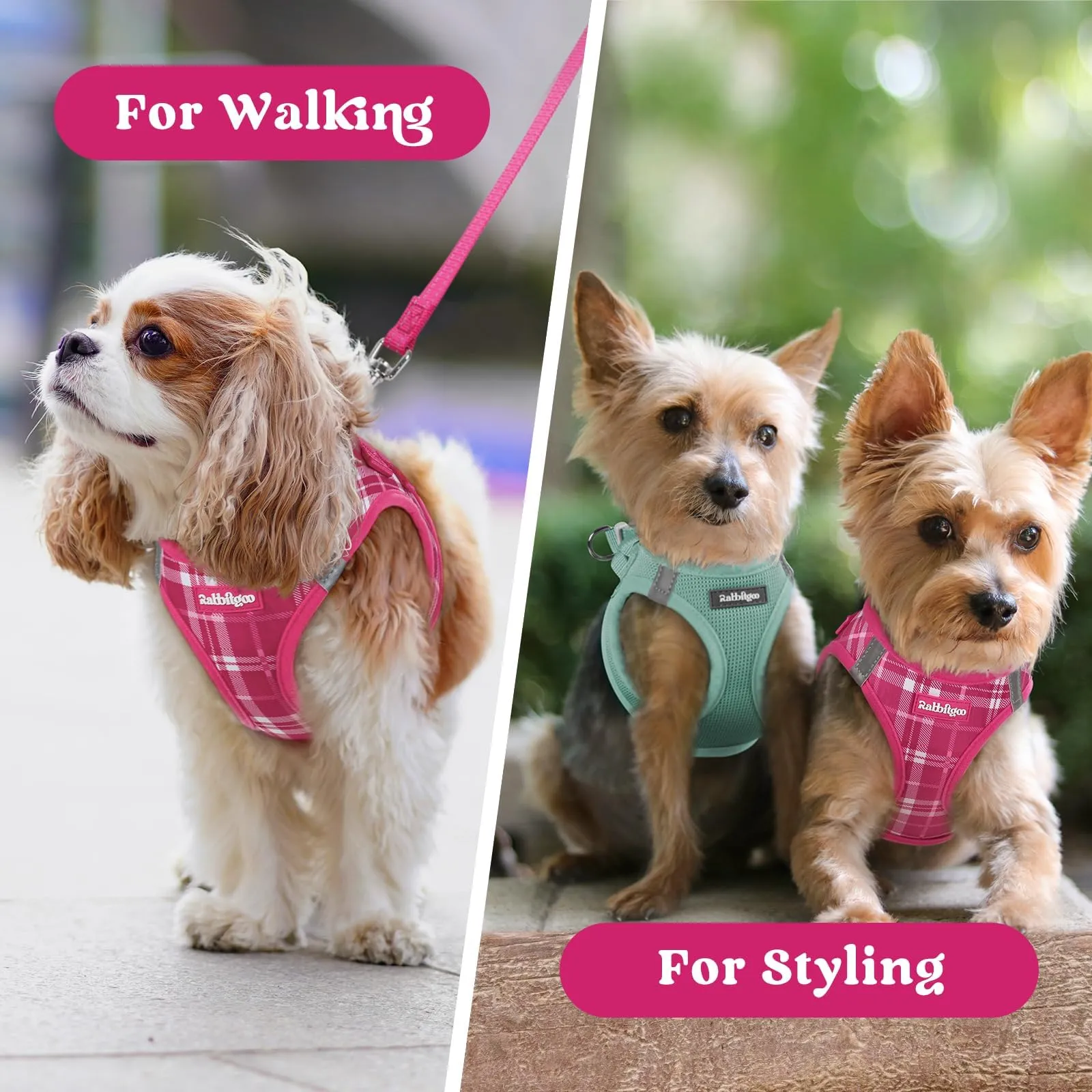 rabbitgoo Pettorina Cane Taglia Piccola, Leggero Morbido, Tartan Fucsia XS - immagine 9