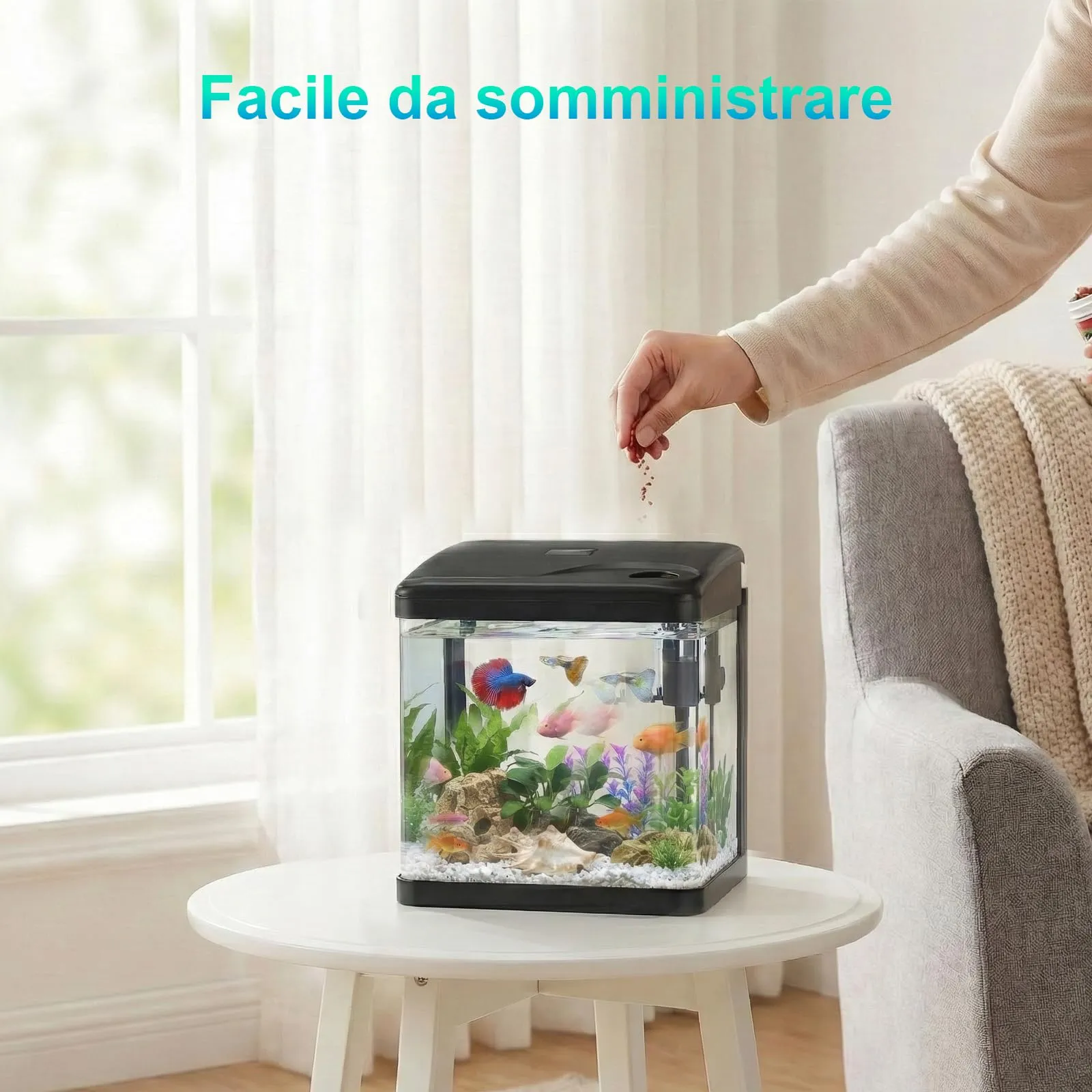 PUTINEI Acquario in Vetro 6 Litri,Acquario Completo Acquarios Per Pesci Rossi,con Illuminazione a LED e Sistema di Filtraggio,Nero,Set Per Principianti - immagine 5