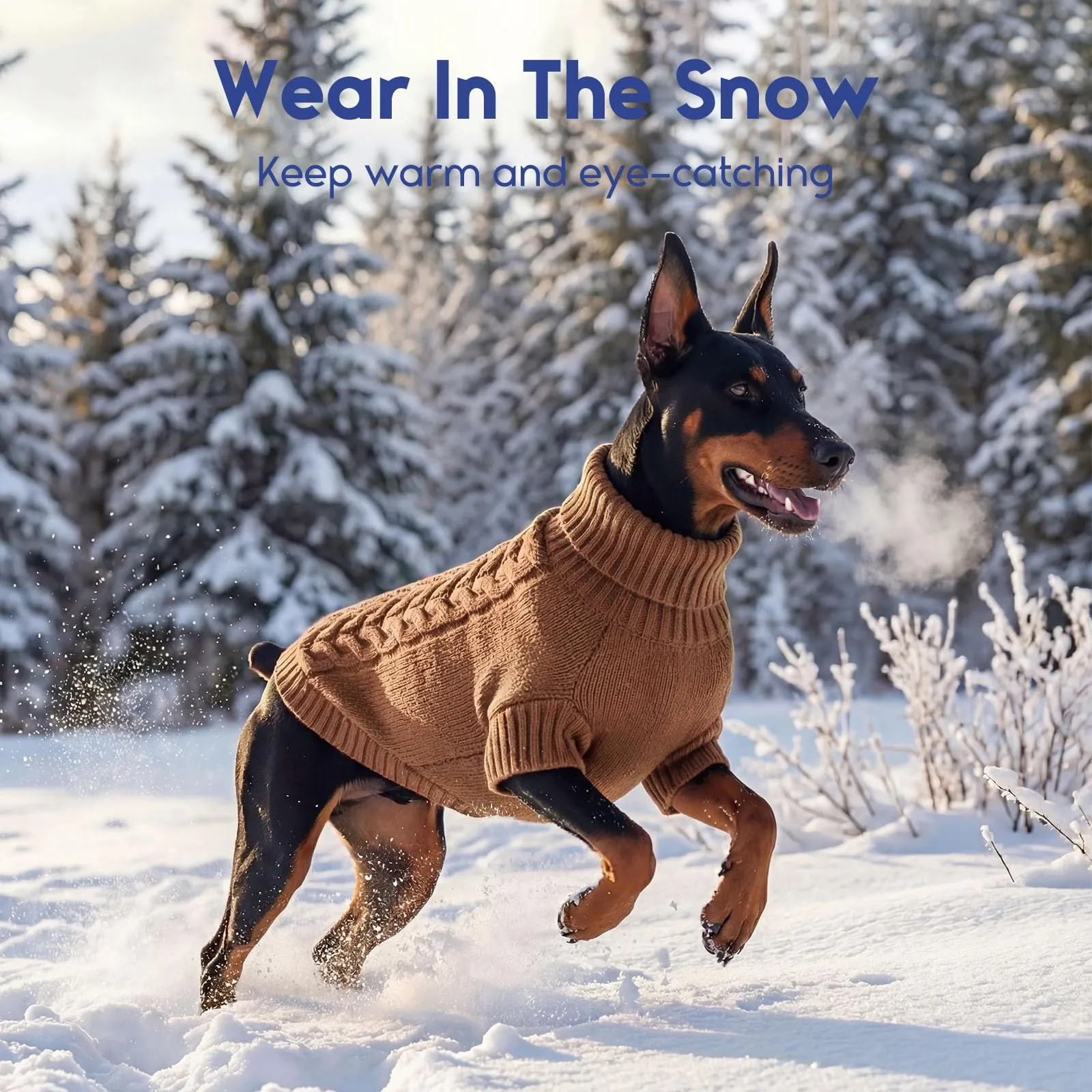 ASENKU Maglione Invernale per Cani Taglia 2XL Grande, Maglioncino Treccia Collo Alto con Foro Guinzaglio per Doberman Golden Retriever Labrador, Maglia Confortevole per Passeggiate Fredde - immagine 8