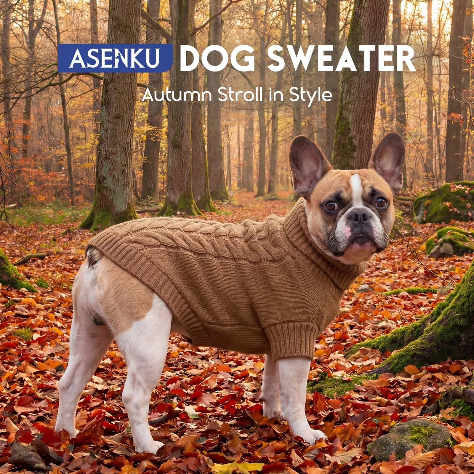 ASENKU Maglione Invernale per Cane Taglia L Medio-Grande, Maglioncino Cani Treccia Collo Alto con Foro Guinzaglio per Bulldog Francese Westie, Maglia Protettiva contro Freddo e Neve - immagine 4