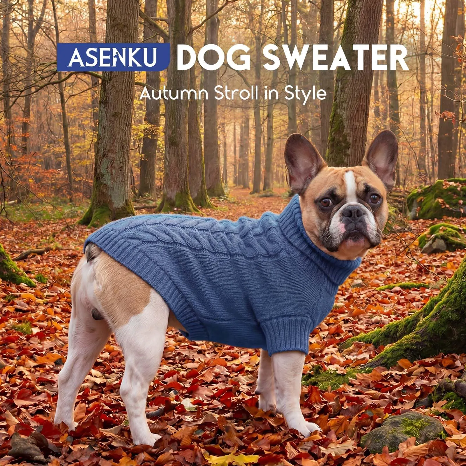 ASENKU Maglione Invernale per Cane Taglia L Medio-Grande, Maglioncino Cani Treccia Collo Alto con Foro Guinzaglio per Bulldog Francese Westie, Maglia Protettiva contro Freddo e Neve - immagine 4