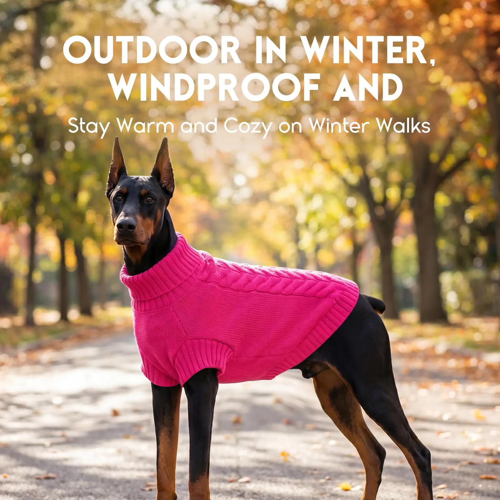 ASENKU Maglioncino Invernale per Cane Taglia S Piccola, Maglione Treccia Collo Alto con Foro Guinzaglio per Carlino Pomerania,Vestito Cane per Passeggiate sulla Neve - immagine 9