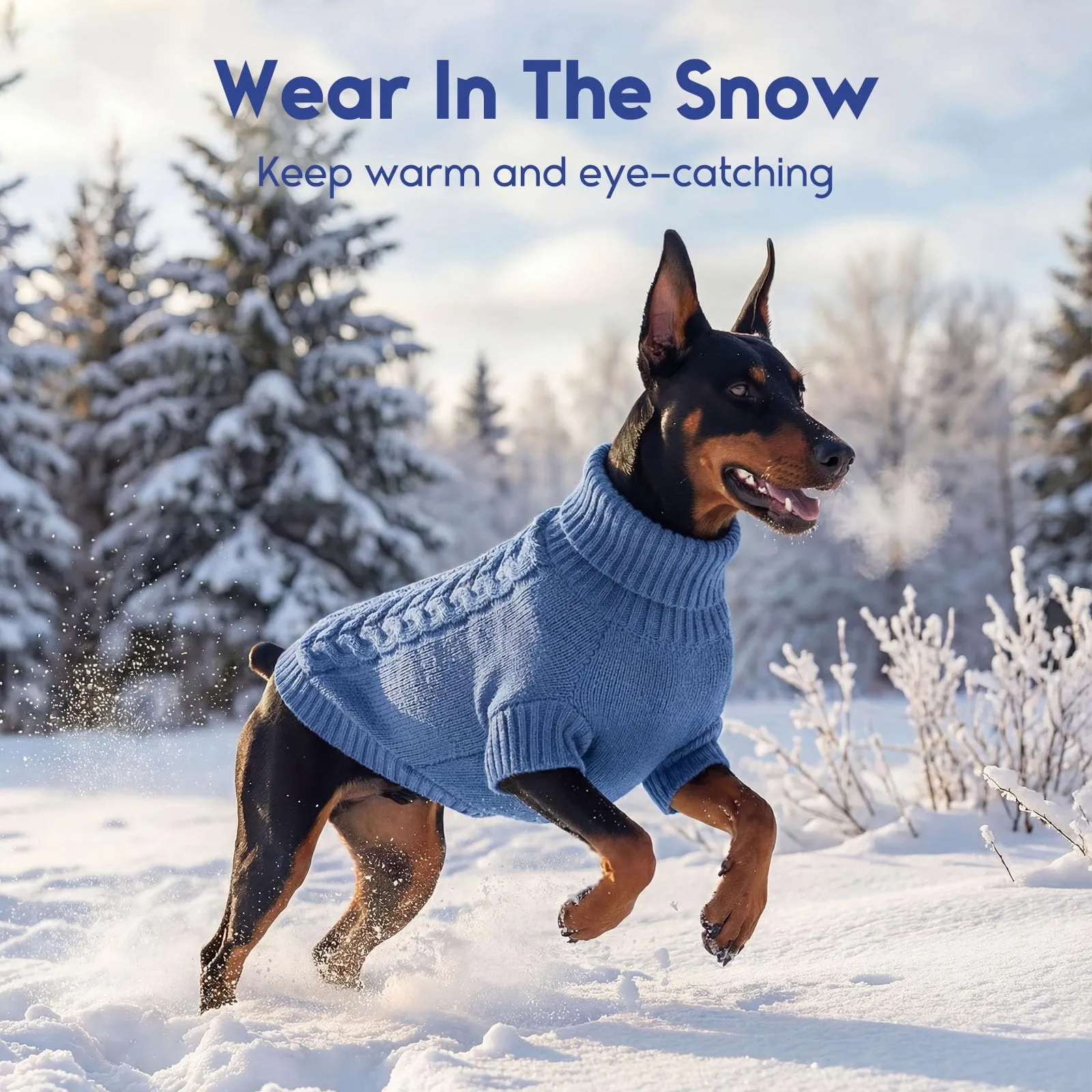 ASENKU Maglione Invernale per Cani Taglia 2XL Grande, Maglioncino Treccia Collo Alto con Foro Guinzaglio per Doberman Golden Retriever Labrador, Maglia Confortevole per Passeggiate Fredde - immagine 9