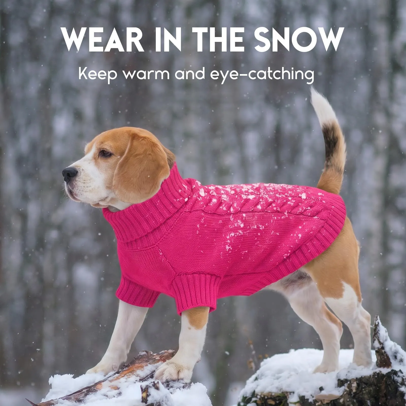 ASENKU Maglione Invernale Cane M Taglia Media, Maglioncino per Cani Treccia Collo Alto con Foro Guinzaglio per Barboncino Beagle Cocker Spaniel, Abbigliamento Caldo per Escursioni Invernali - immagine 7