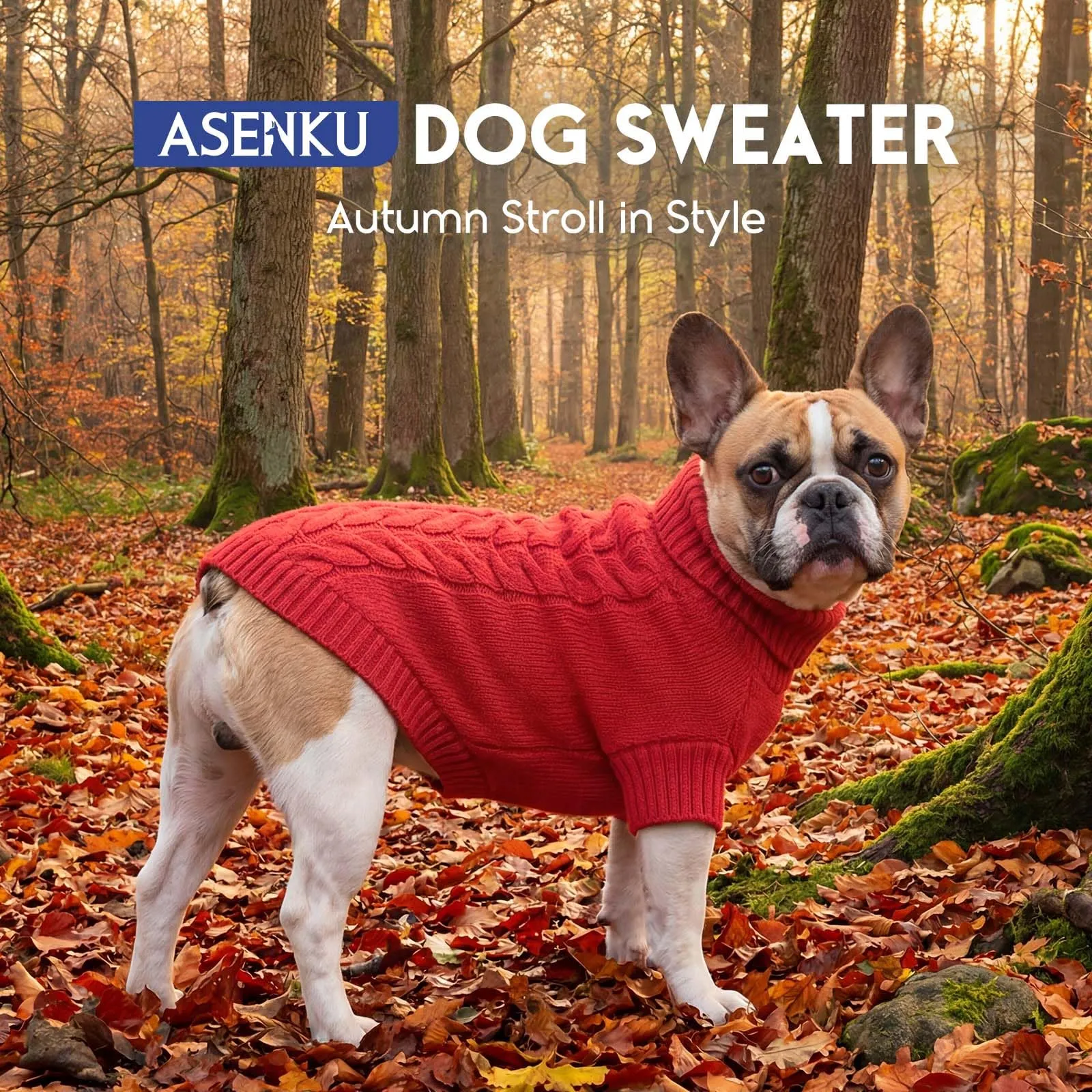 ASENKU Maglione Invernale per Cani Taglia 3XL Grande, Maglioncino Treccia Collo Alto con Foro Guinzaglio per Doberman Golden Retriever Labrador, Maglia Confortevole per Passeggiate Fredde - immagine 4