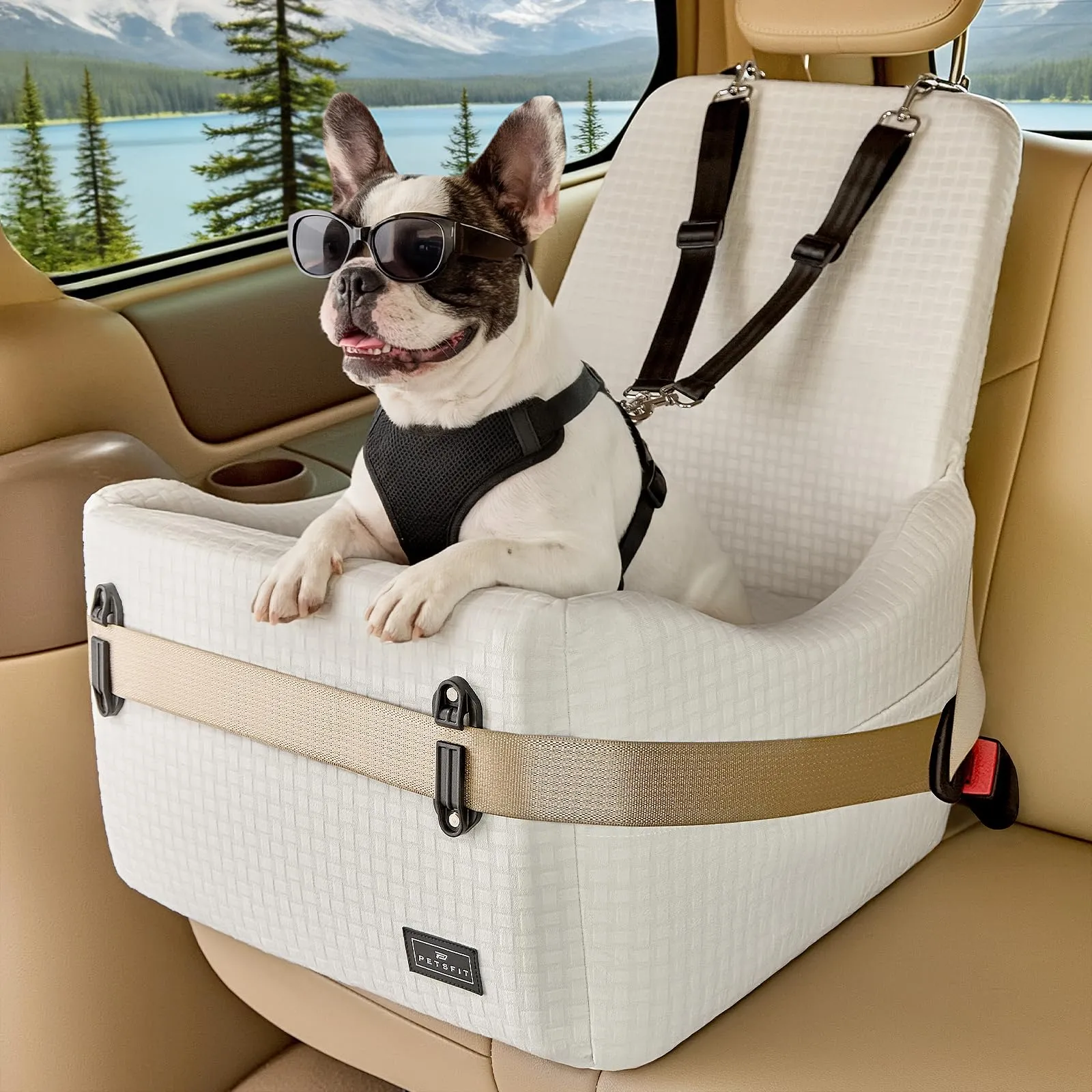 PETSFIT Seggiolino Auto per Cani di Taglia Piccola/Media fino a 15 kg – Sistema di Sicurezza Brevettato, Rialzo con Memory Foam da 13 cm, Sfoderabile e Lavabile, 2 Tasche Portaoggetti (Beige) - immagine 1