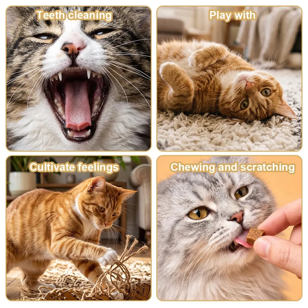 HOTUT 2 Pezzi Cuscino Erba Gatta,Giocattolo per Gatti con Erba Gatta,Giochi al Chiuso in Sisal Naturale per Giocare, Mordere, Masticare,Cats Dental Care per Gattini e Adulti - immagine 6