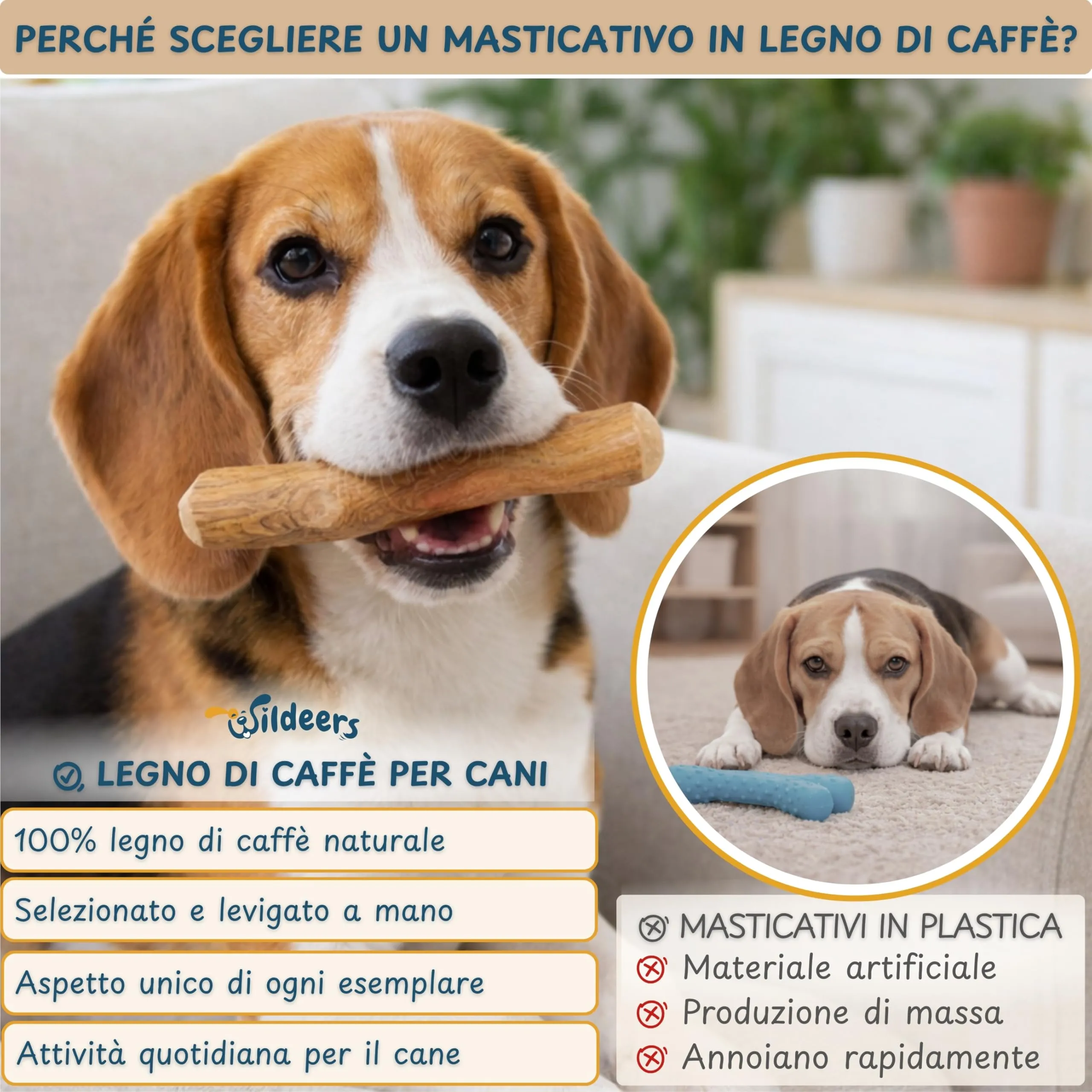 Wildeers Legno di Caffè per Cani, Resistente, Taglia M, 15-17 cm, 2 Pezzi - immagine 9