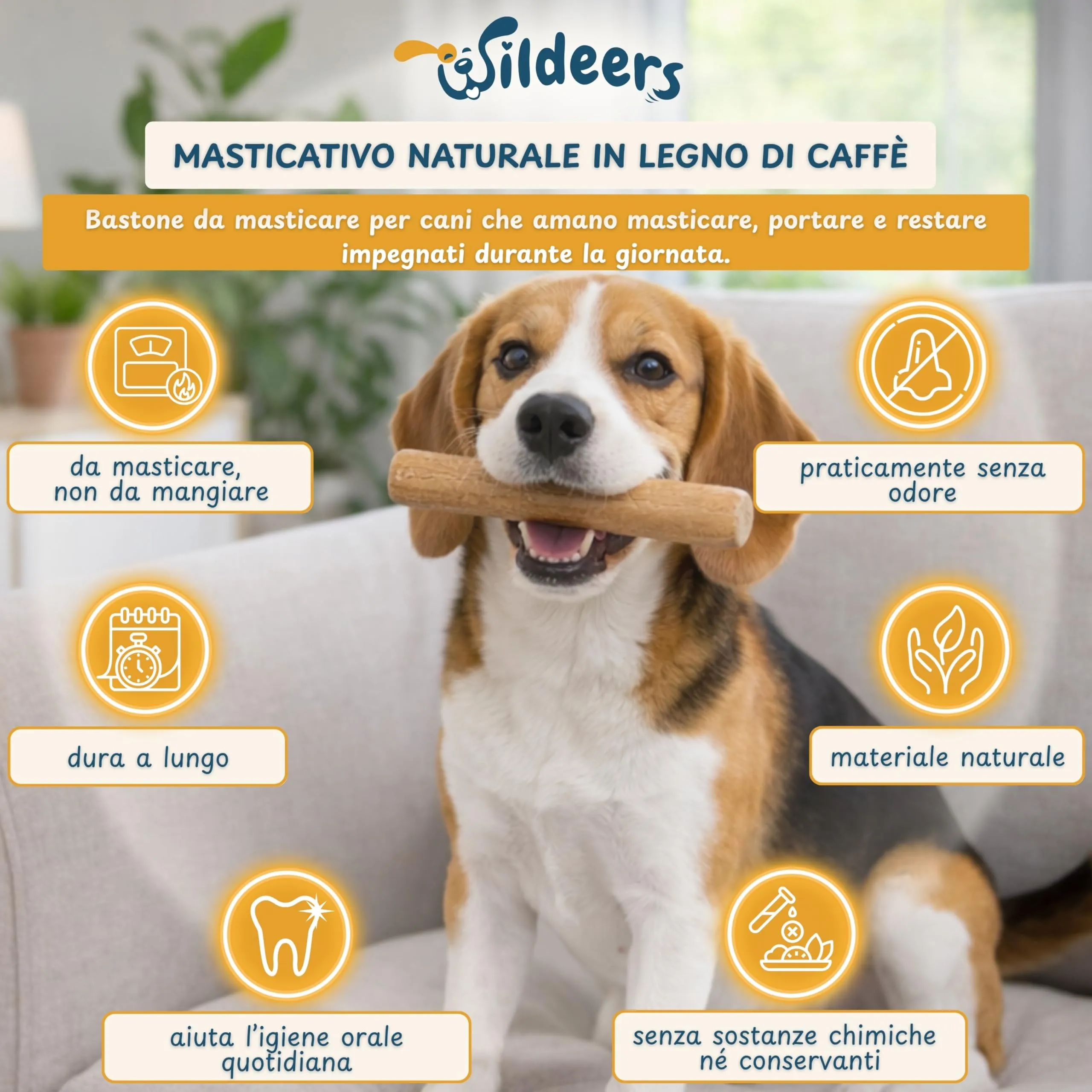 Wildeers Legno di Caffè per Cani, Resistente, Taglia M, 15-17 cm, 3 Pezzi - immagine 2