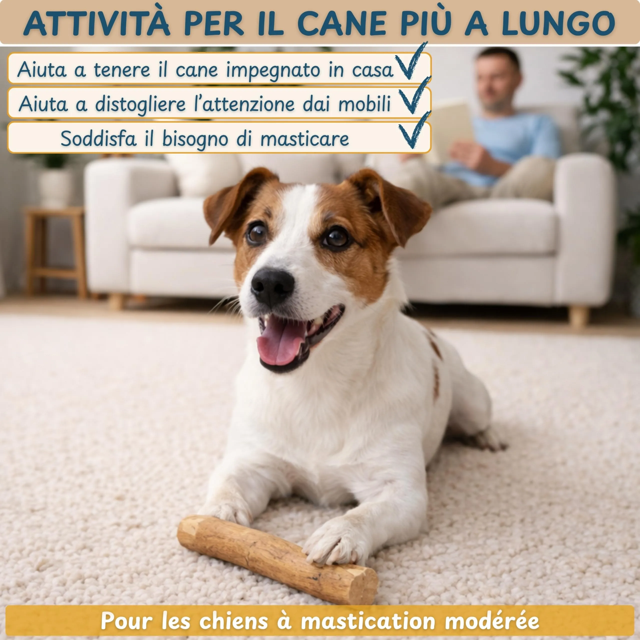 Wildeers Legno di Caffè per Cani, Resistente, Taglia M, 15-17 cm, 3 Pezzi - immagine 3
