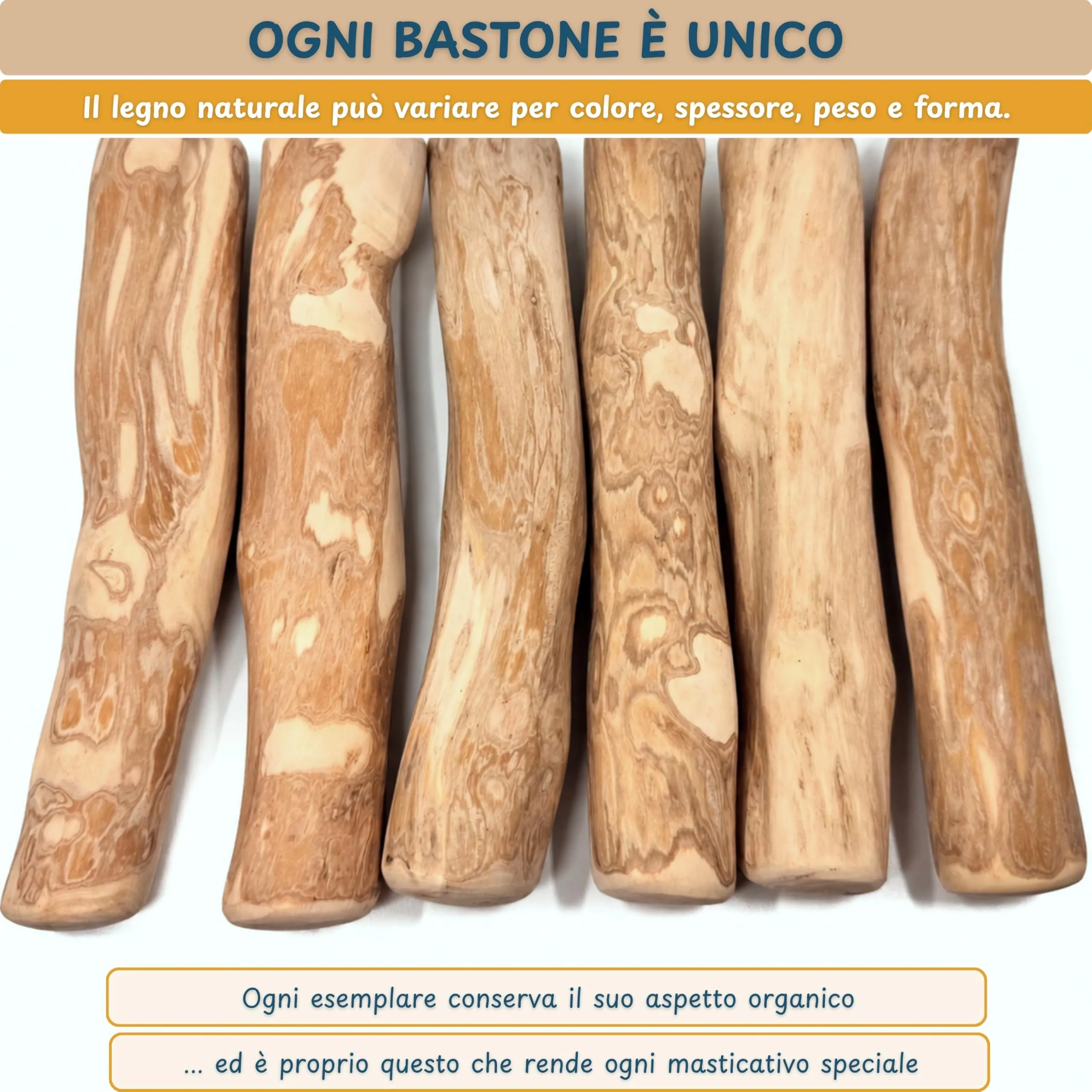 Wildeers Legno di Caffè per Cani, Resistente, Taglia M, 15-17 cm, 3 Pezzi - immagine 7