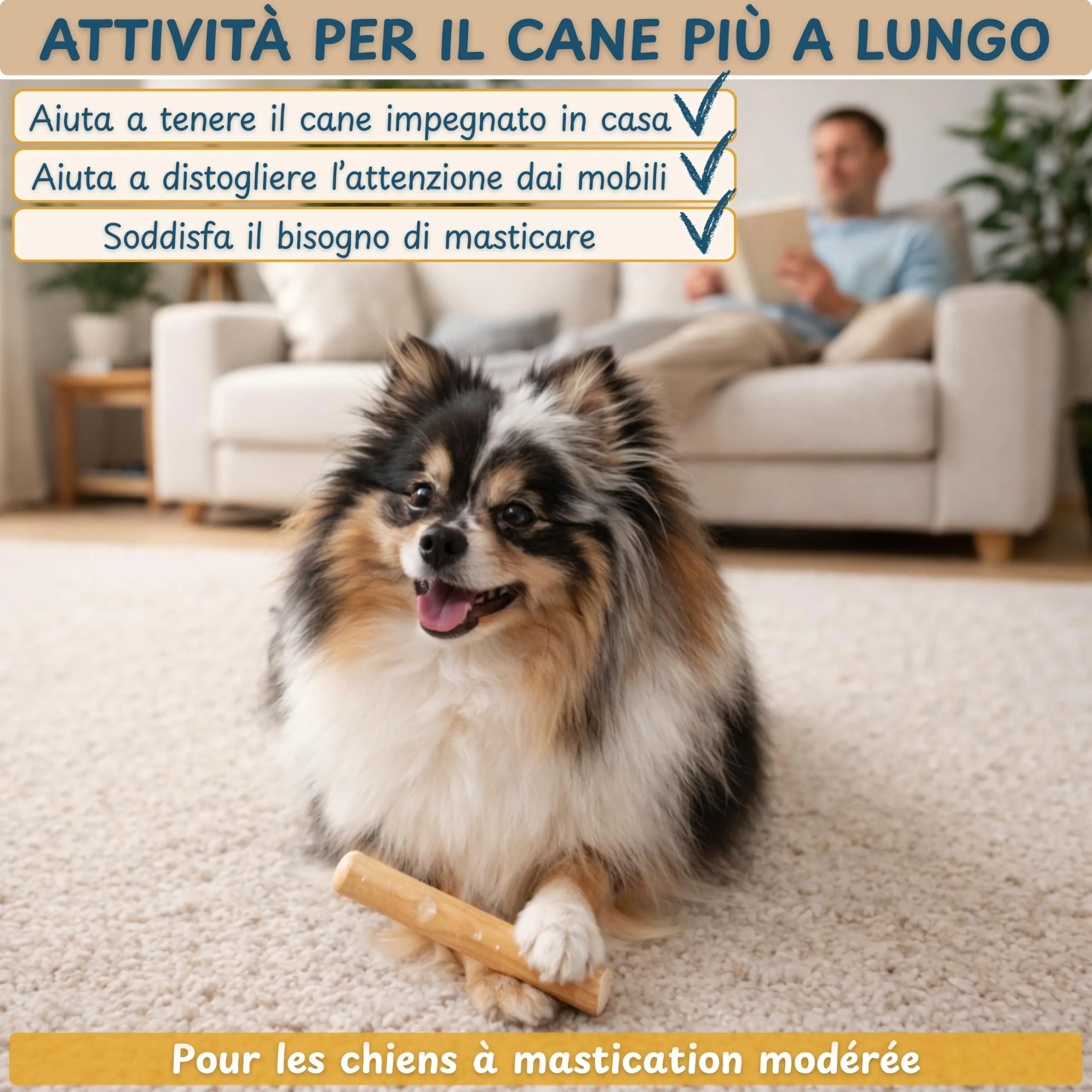 Wildeers Legno di Caffè per Cani, Resistente, Taglia S, 12-15 cm, 2 Pezzi - immagine 3