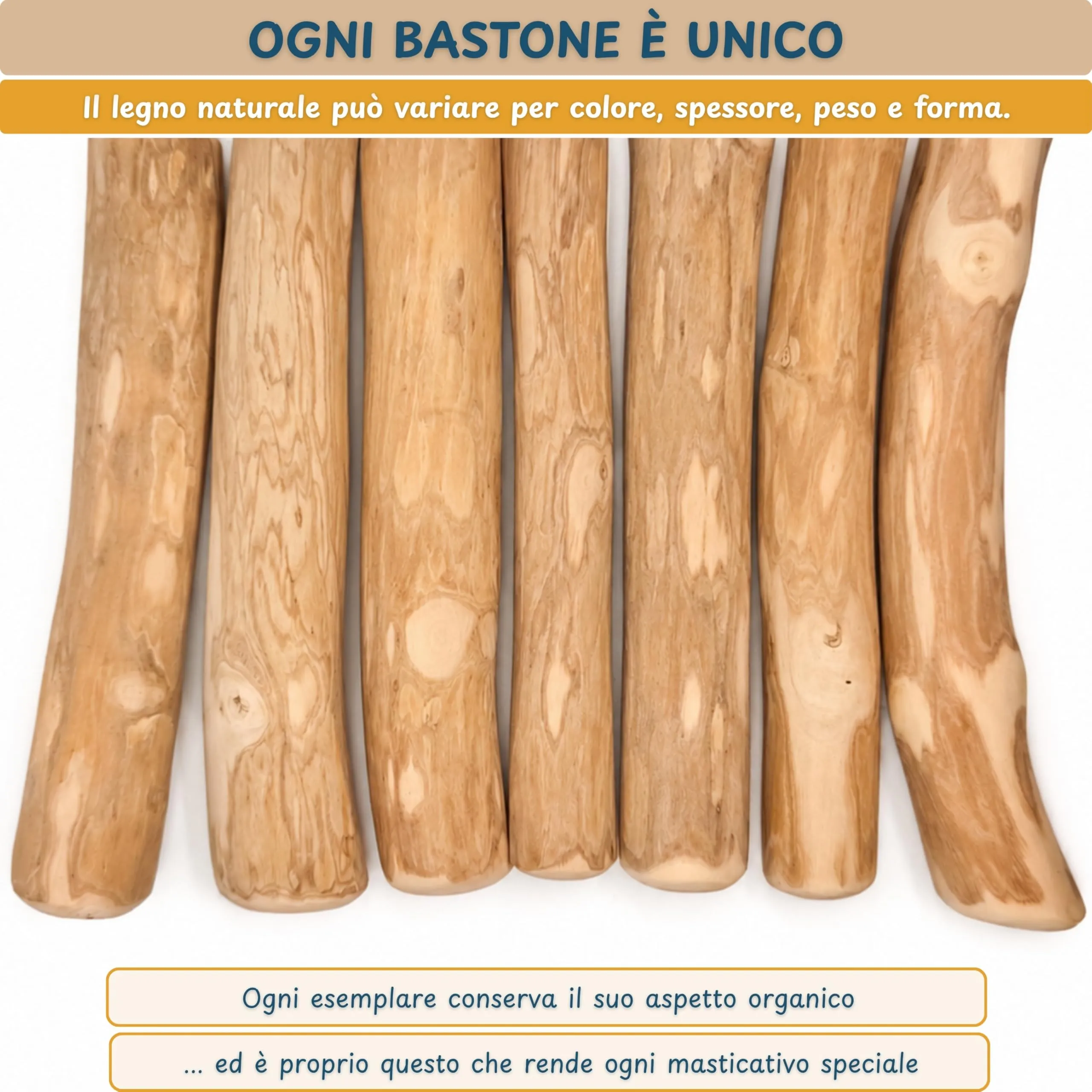 Wildeers Legno di Caffè per Cani, Resistente, Taglia S, 12-15 cm, 2 Pezzi - immagine 7
