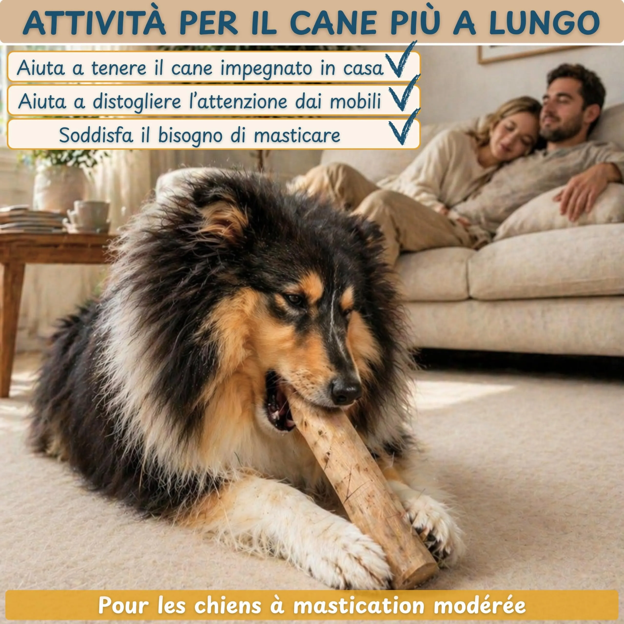 Wildeers Legno di Caffè per Cani, Resistente, Taglia XXL, 20-22 cm, 2 Pezzi - immagine 3