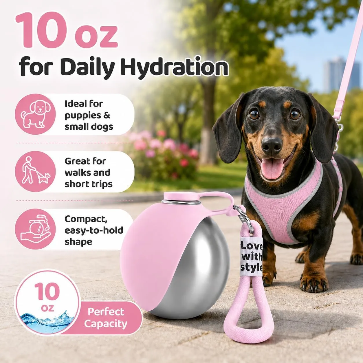 ZUMME Borraccia Cani da Esterno. 304 Acciaio Inox Borraccia per Cani 285ml, Anti-Perdita con Ciotola Pieghevole in Silicone, Portatile per Cani Piccoli e Gatti, Passeggiate e Campeggio - immagine 5