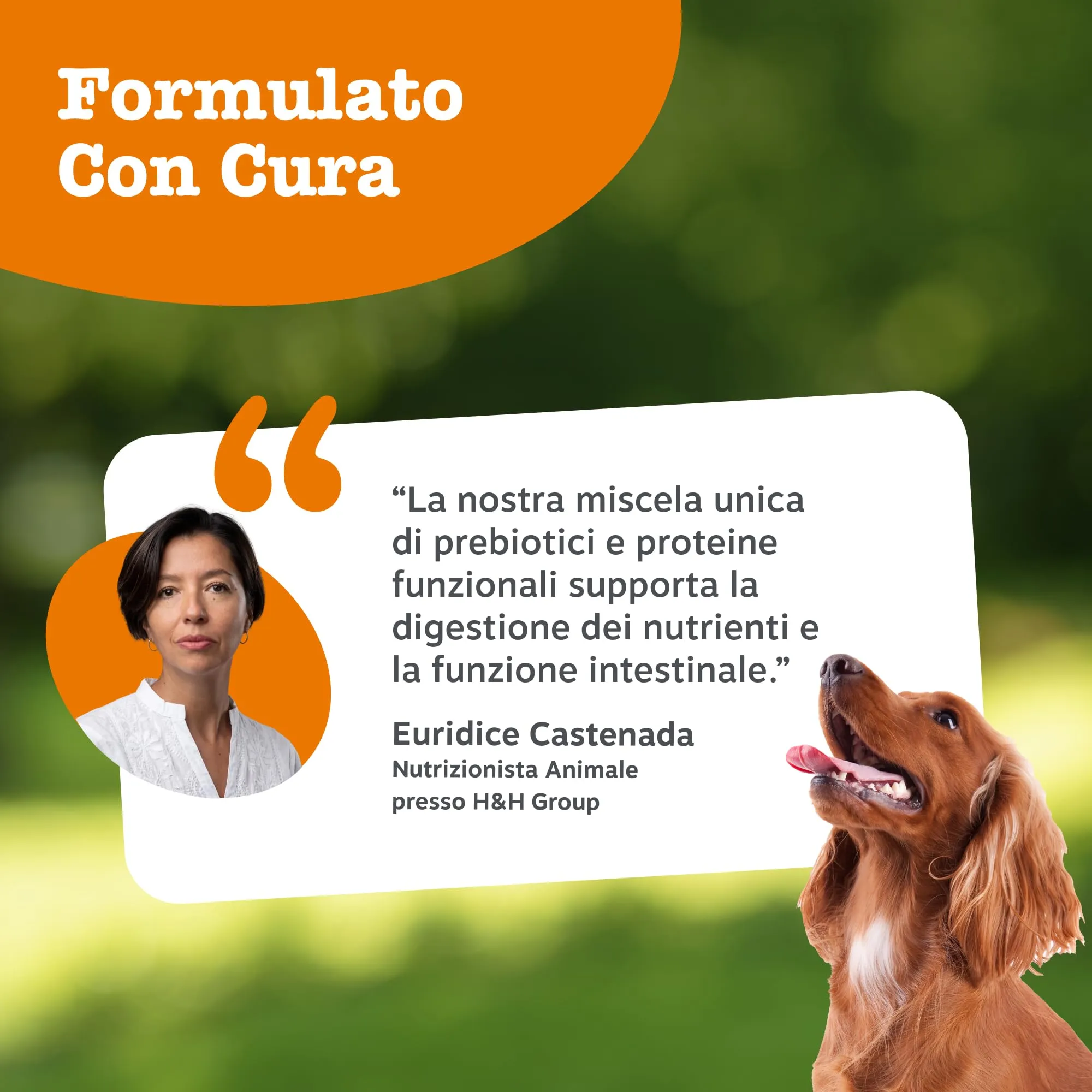 Zesty Paws PRO-Digest Polvere Cani|Naturale Gusto di Maiale | 50 Misurini - immagine 5