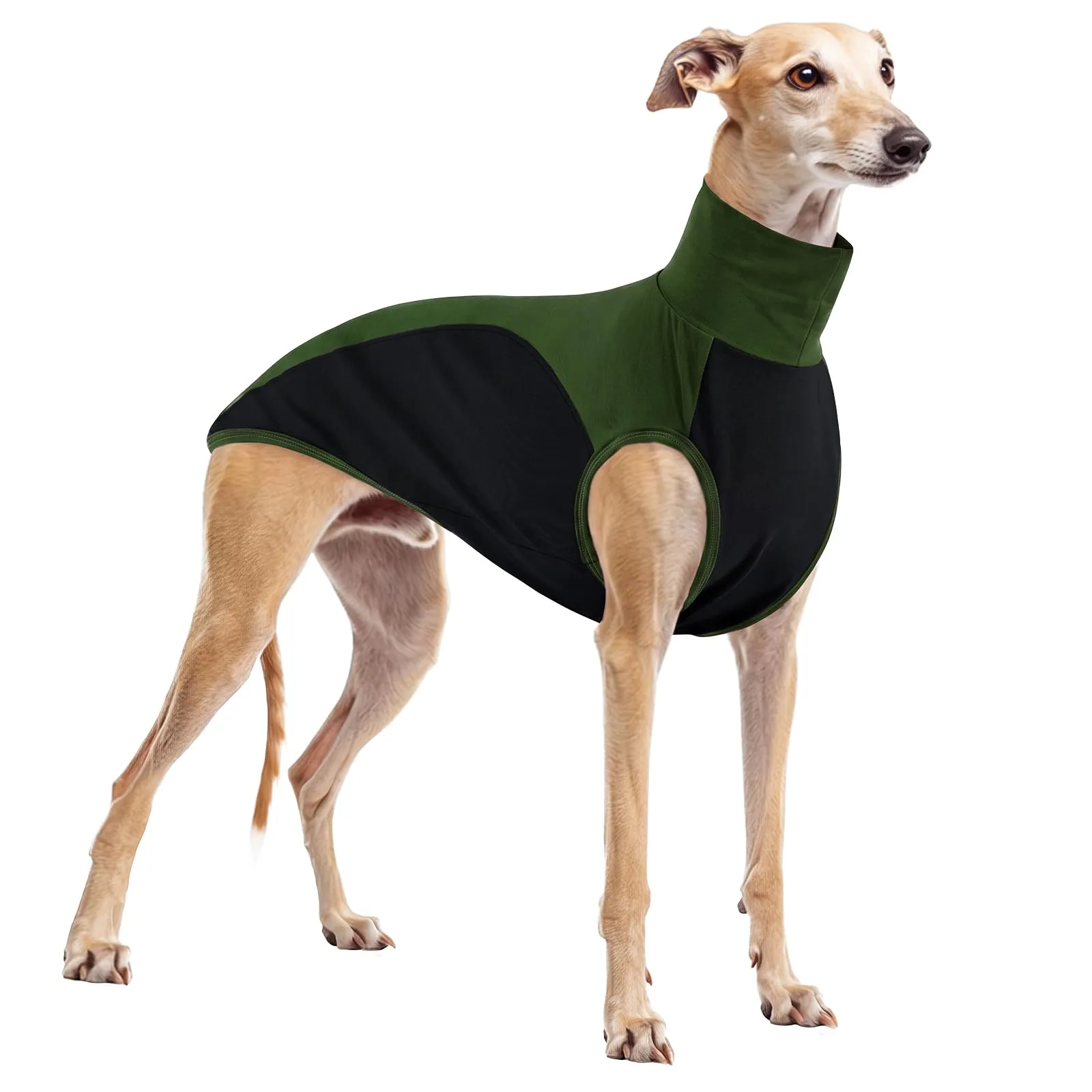 T-shirt per whippet, felpa in cotone per levriero italiano, maglietta traspirante per whippet, gilet sportivo senza maniche, abito leggero per levriero italiano (verde militare, M) - immagine 1