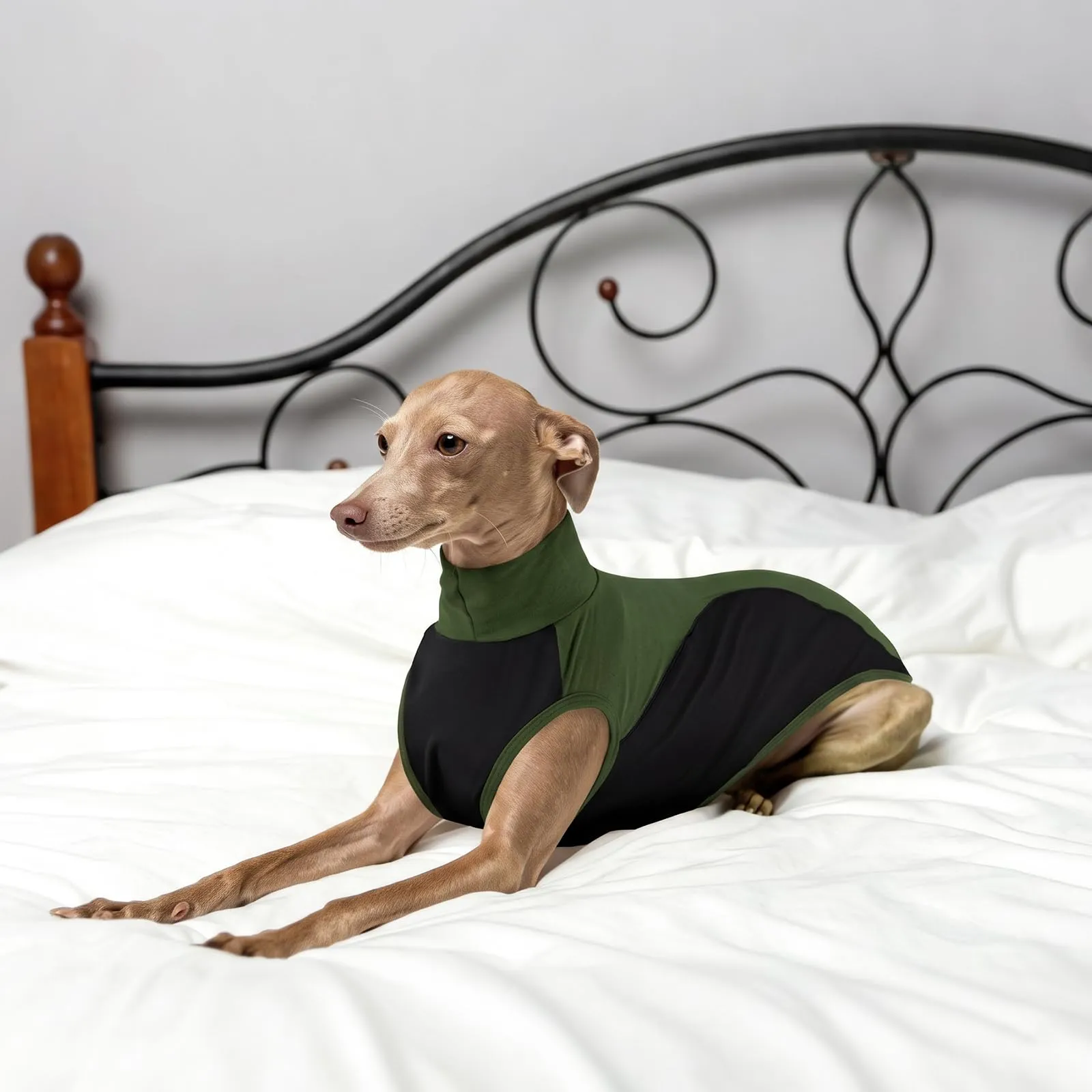 Gilet whippet sottile traspirante per cani, gilet sportivo estivo senza maniche per cani whippet - Pigiama comodo per levriero italiano - abbigliamento per attività all'aperto (verde militare, taglia - immagine 6