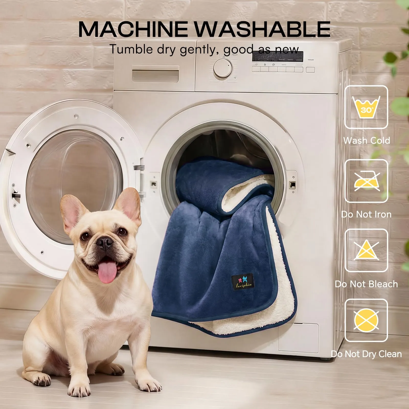 luciphia Plaid cane gatto impermeabile reversibile Sherpa pile divano - immagine 7