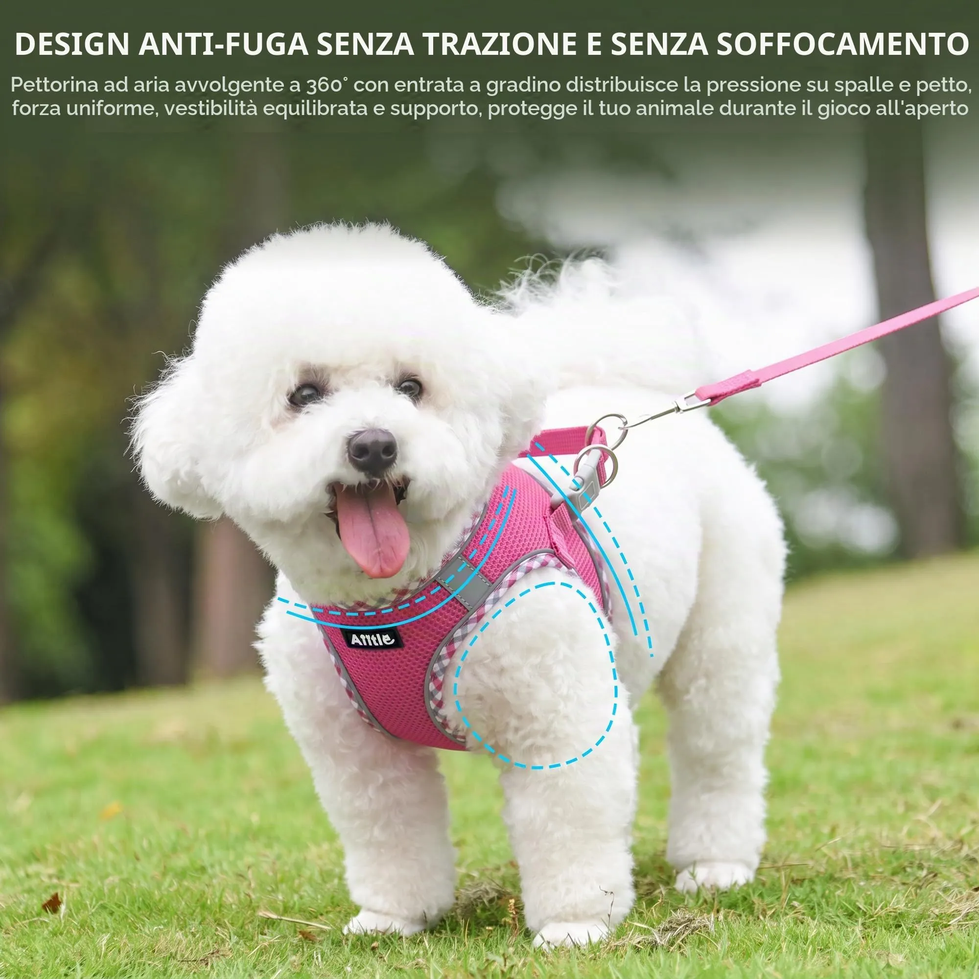AIITLE Set di pettorina per cani di piccola taglia e guinzaglio, rosa acceso, XXXS - immagine 7