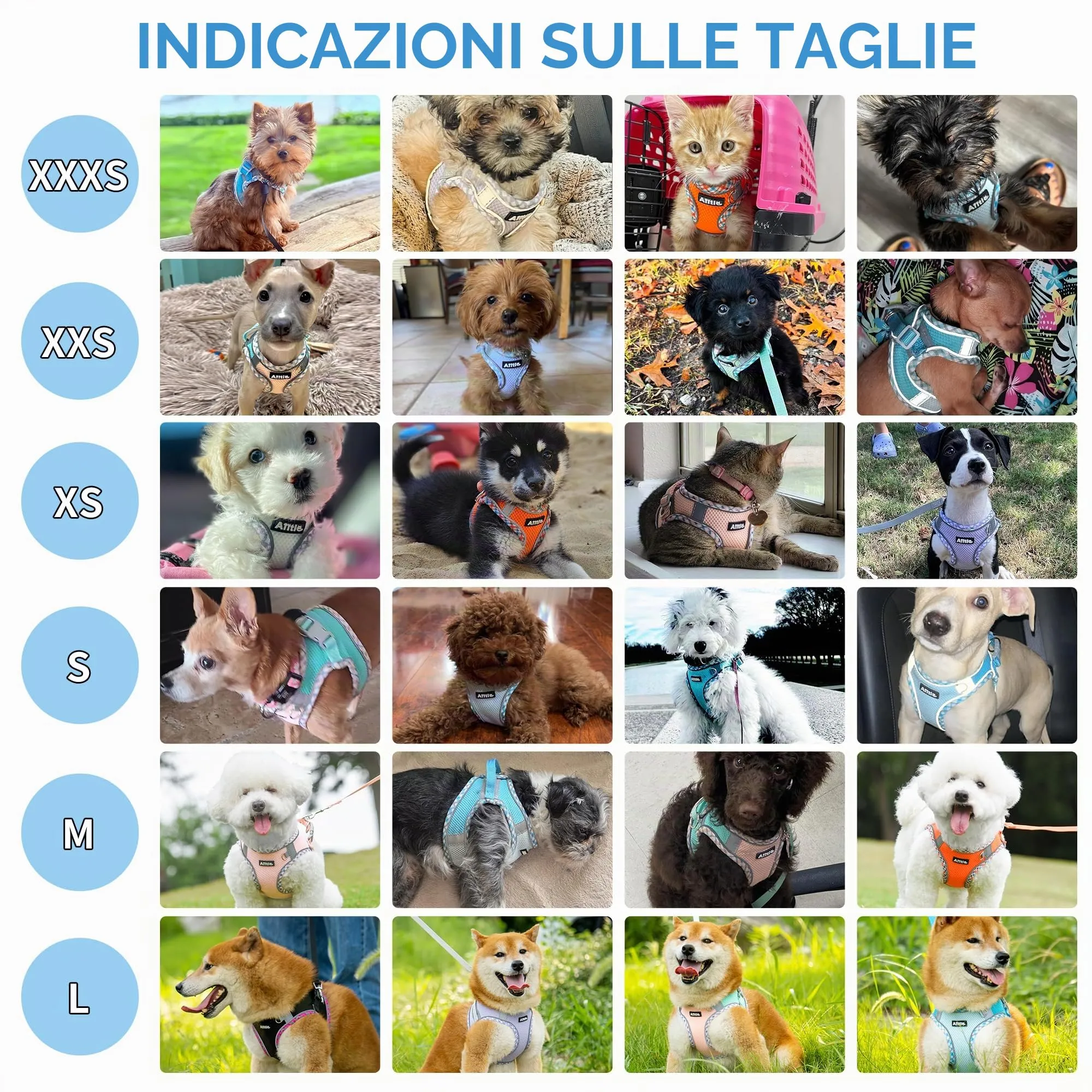 AIITLE XXS - Set di pettorina e guinzaglio per cani, rosa acceso, XXS - immagine 9