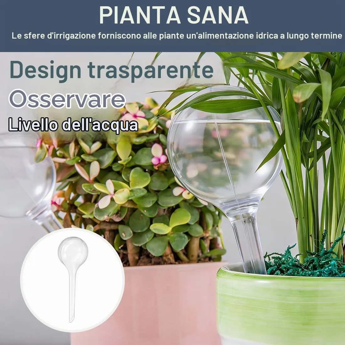 FCPEAG 6Pcs Ampolle per Piante Globi per Irrigazione Automatica Piante in Plastica Trasparente Sfere Trasparenti Irrigaziones a Goccia Sistema Automatico Irrigazione Piantes da Interno ed Esterno - immagine 5