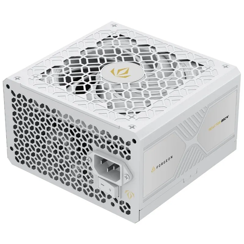 Alimentatore completamente modulare Forgeon Reactor 850W Cybenetics Platinum ATX 3.1 PCIe 5.1 bianco - immagine 1