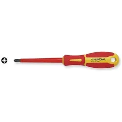 Cacciavite Croce isolato (Pz2x100mm) 0093210 - immagine 1