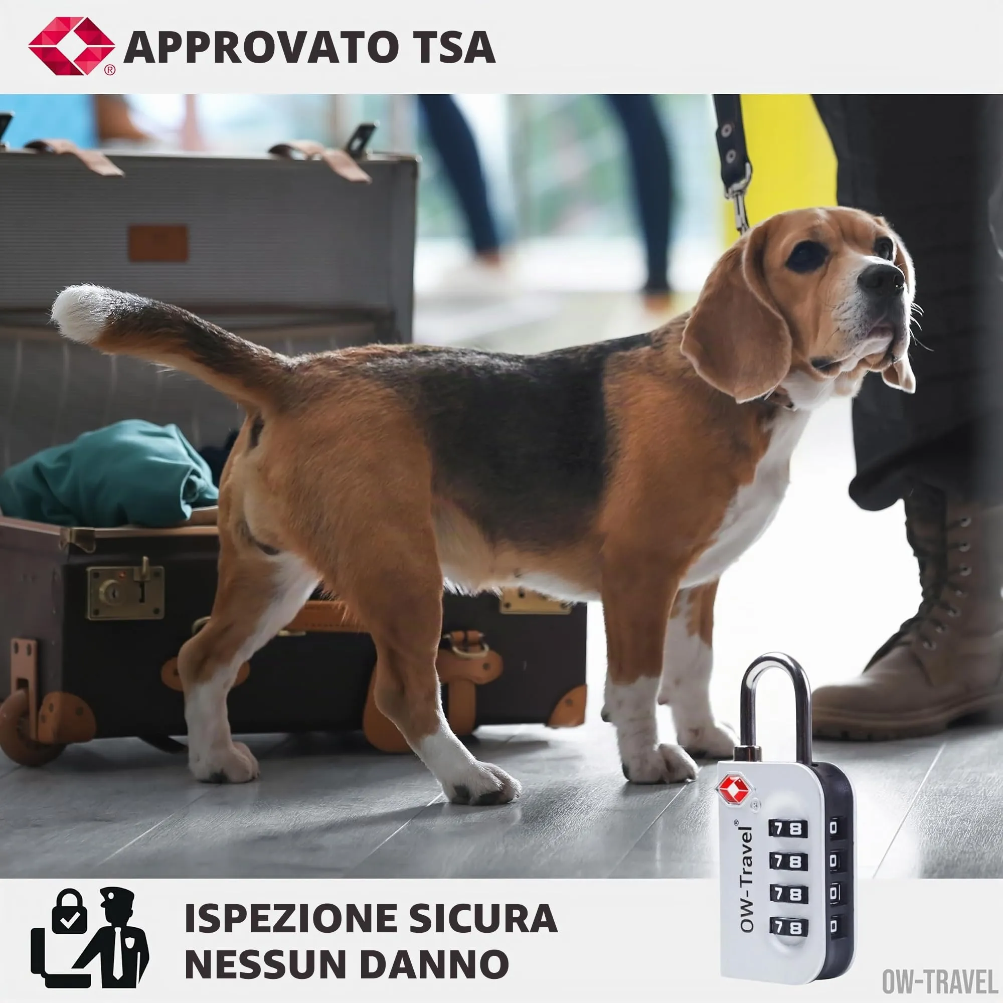OW-Travel Lucchetto TSA, Lucchetto Valigia Aereo 4 Cifre Argento 1 Pz - immagine 5