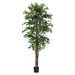 Pianta artificiale Ficus c-2480foglie (210cm) 0172847 - immagine 1