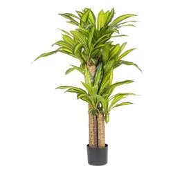 Pianta artificiale Dracaena c-(130cm) 0172964 - immagine 1