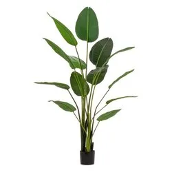 Pianta artificiale Strelitzia c-13foglie (185cm) 0172962 - immagine 1