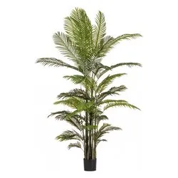 Pianta artificiale Kenzia c-33foglie (210cm) 0172966 - immagine 1