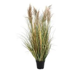 Pianta artificiale Gynerium pampas (120cm) 0173025 - immagine 1