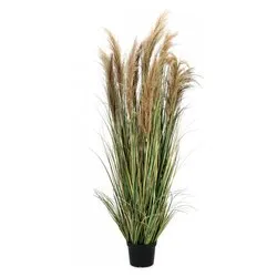 Pianta artificiale Austorderia pampas (180cm) 0173020 - immagine 1