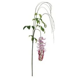 Stelo Macuna kaylin viola (210cm) 0170713 - immagine 1