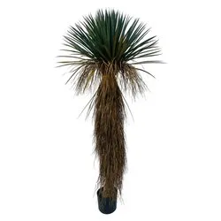 Pianta artificiale Yukka rostata (180cm) 0173145 - immagine 1