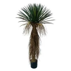 Pianta artificiale Yukka rostata (150cm) 0173144 - immagine 1