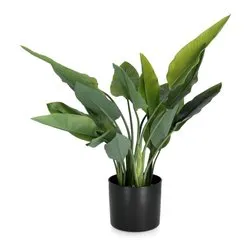 Pianta artificiale Streliztia con 20 foglie (70cm) 0170760 - immagine 1