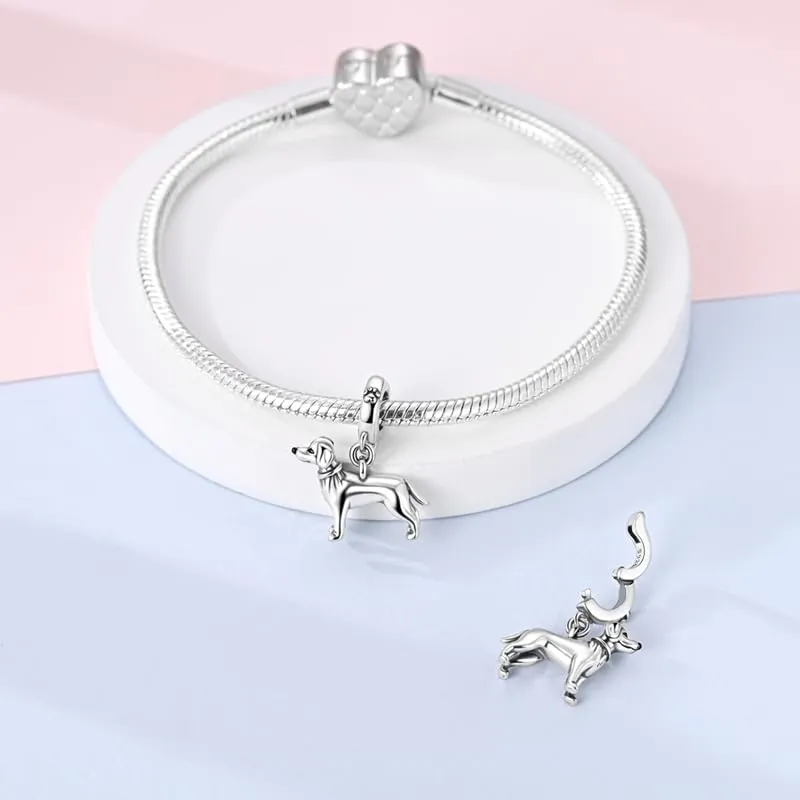 QIKAOLA Ciondolo Bead Charm Perline in argento sterling S925 per bracciali e collane europee per donne - immagine 5