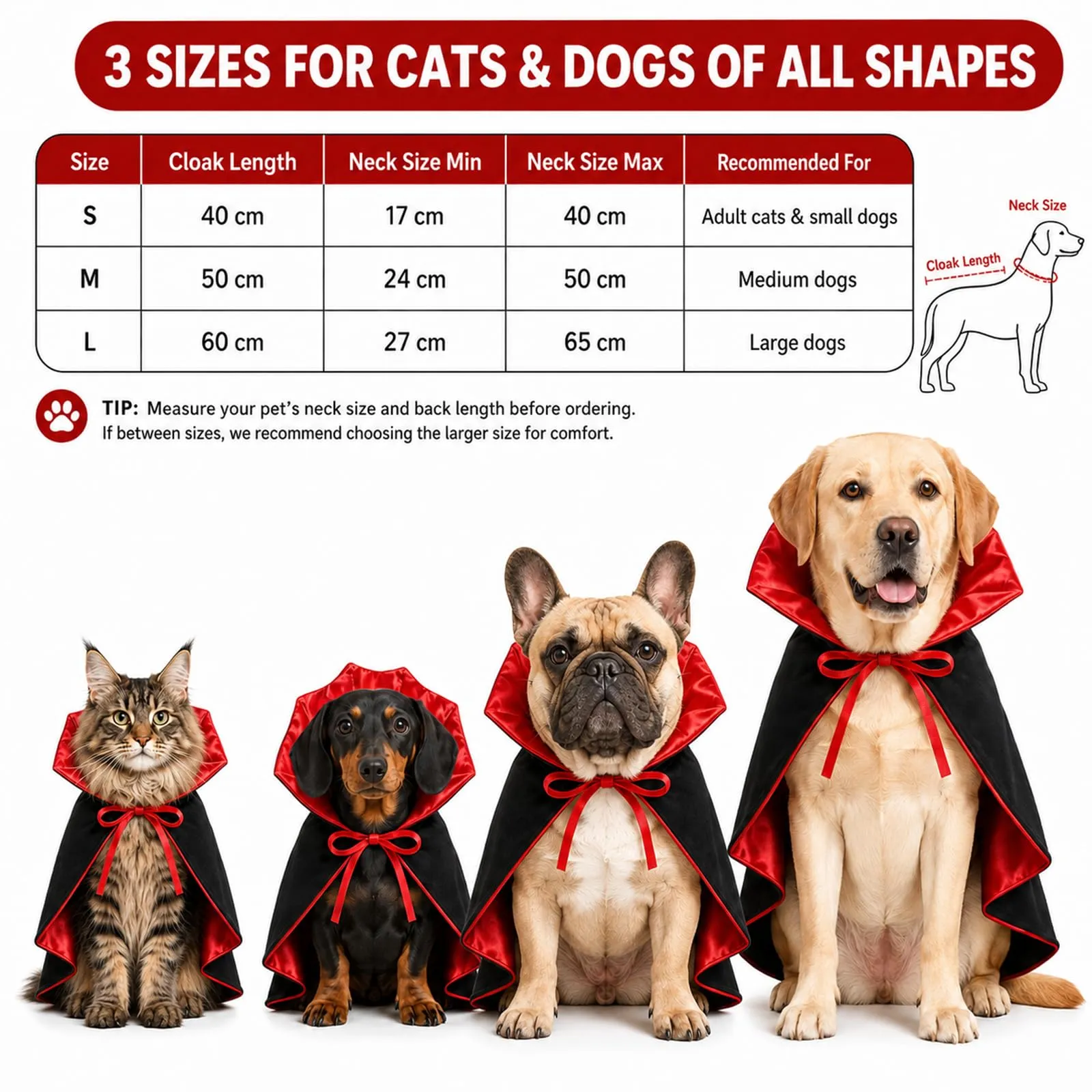 Costume da vampiro per cani (M/50 cm) con mantello e colletto rialzato per cosplay, Costume di Halloween in raso con doppia chiusura, Carnevale e servizi fotografici - immagine 2